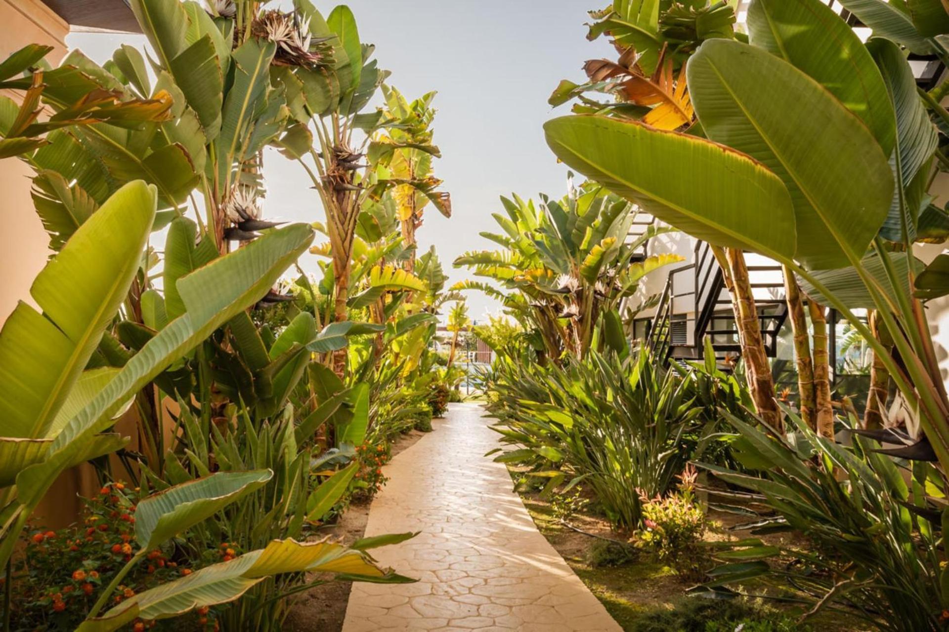 Alegria Palacio Mojacar - Adults Only Экстерьер фото